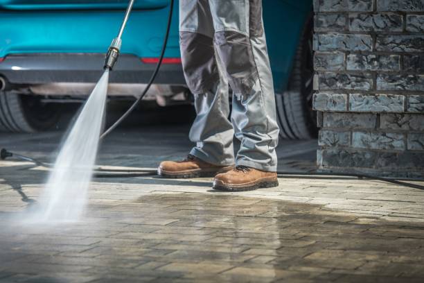 Best Fleet Vehicle Washing  in Liberty City, TX